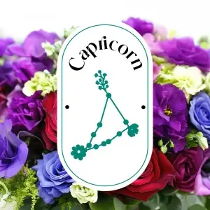 Capricornio