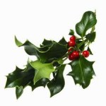 images-4