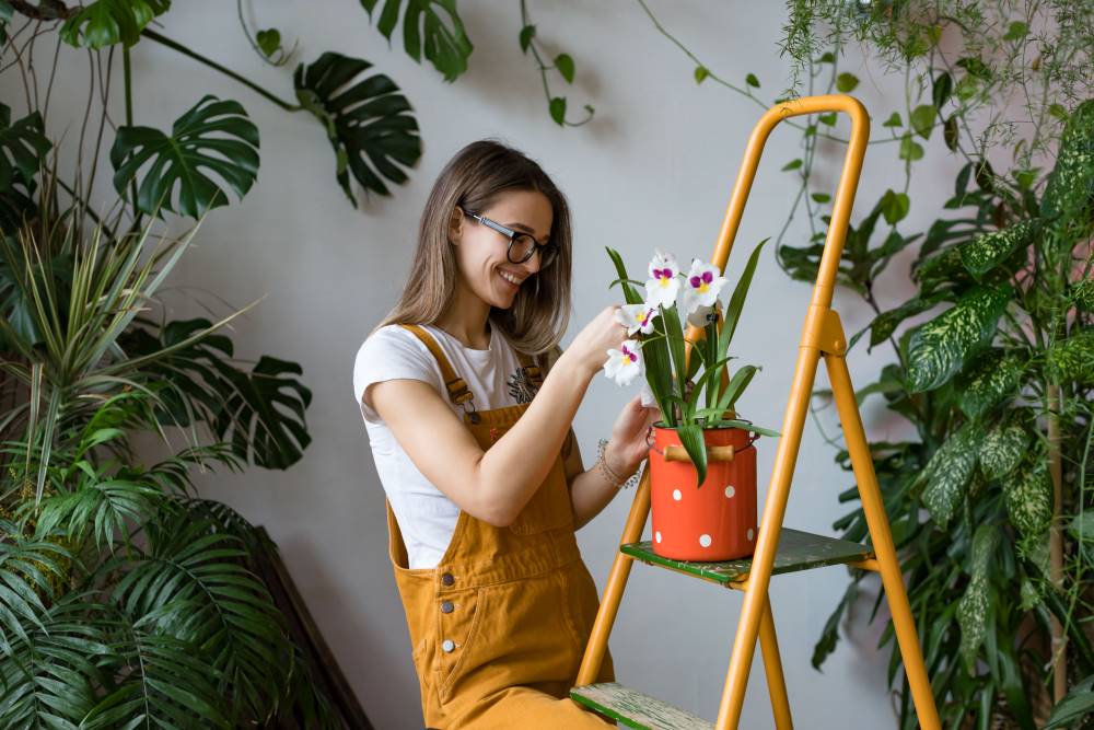 limpiar las hojas de las orquídeas