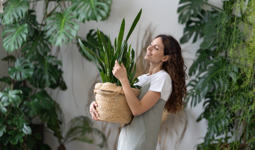 Plantas de abril