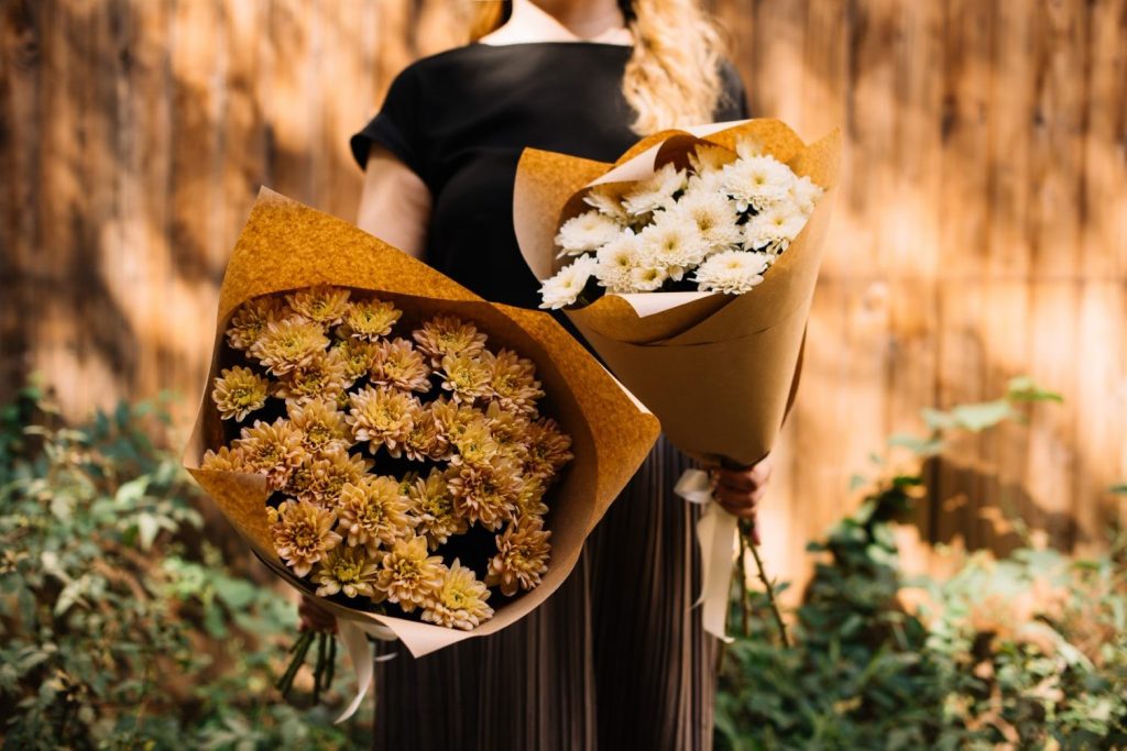 flores de noviembre