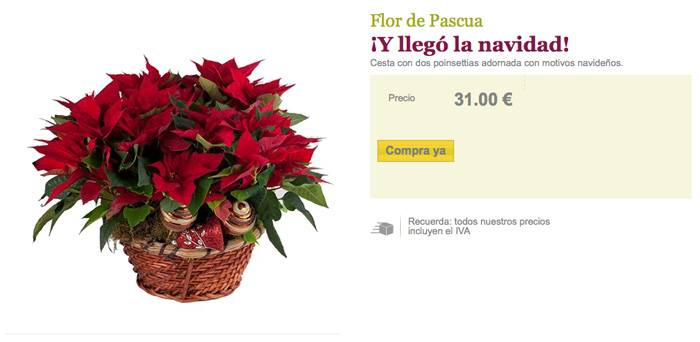 poinsetia interflora