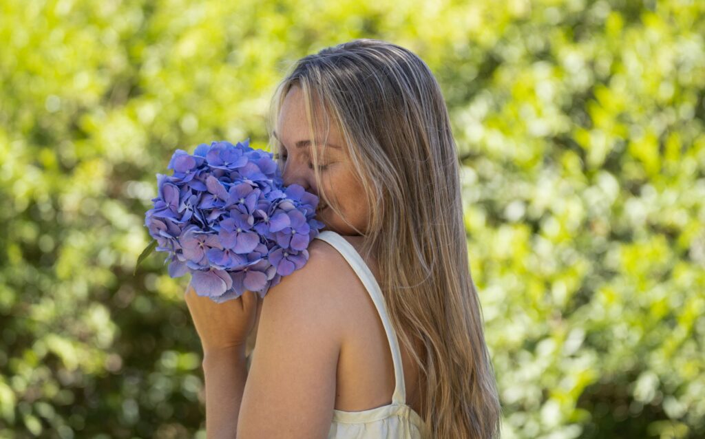 Flor de hortensia azul