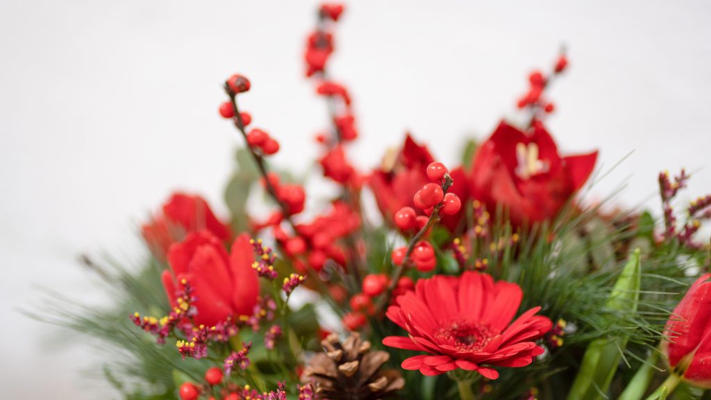 Ramo de nandina