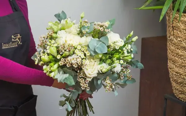 Orquidea - Fleuriste à Valladolid