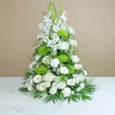 Ascenso Blanco