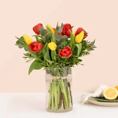 Tulipanes multicolor