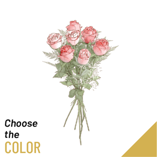 7 Roses