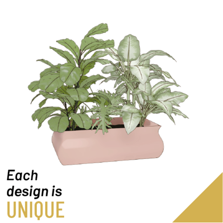 ARRANGEMENT OF PLANTS