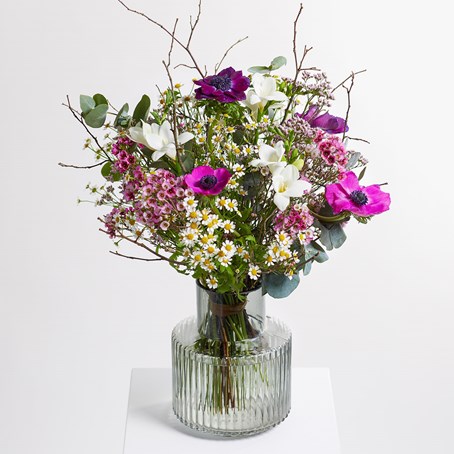 First Morning of Spring