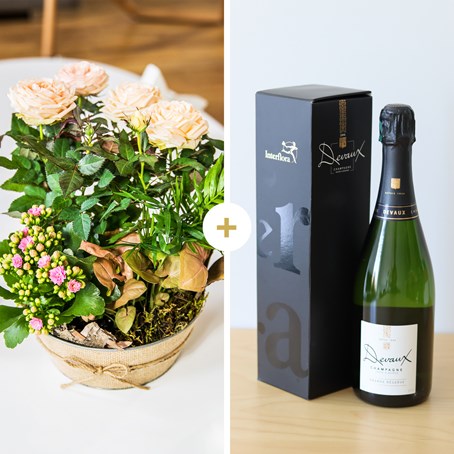 Coin de paradis et champagne - Paradise and champagne