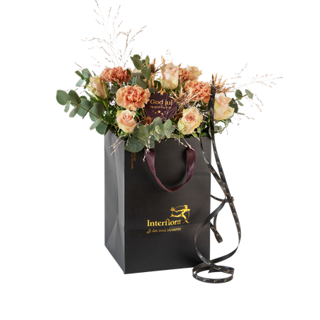 Christmas Classic Soft 240505