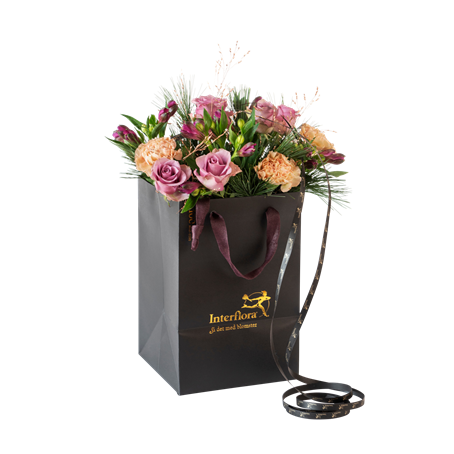 November Classic 240508