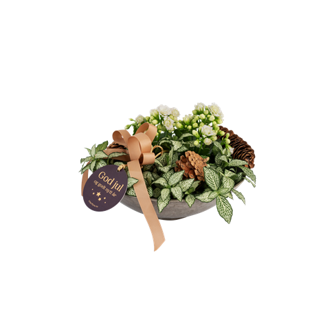 White Christmas 240544