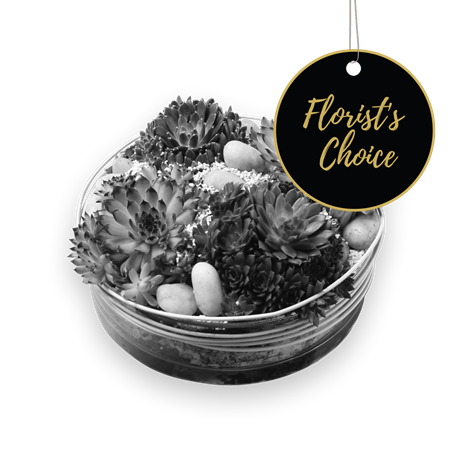 Arrangement of Plants - Florist’s Choice