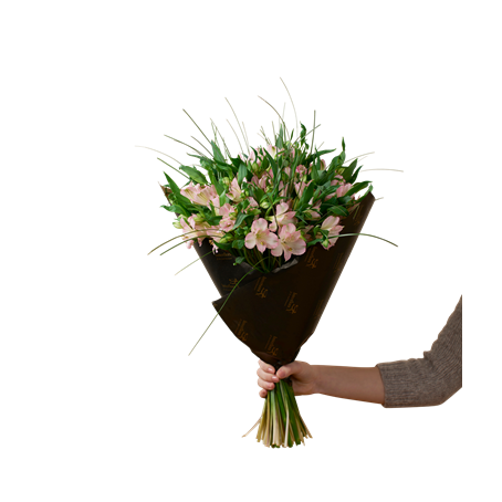 Gorgeous Pink Alstromeria 242634