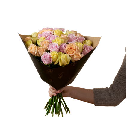 Winter Roses 30 242618