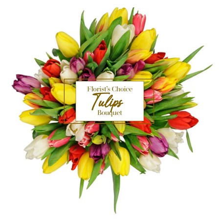 Tulips Florist Choice Bouquet
