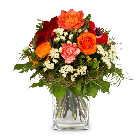 Spring Surprise