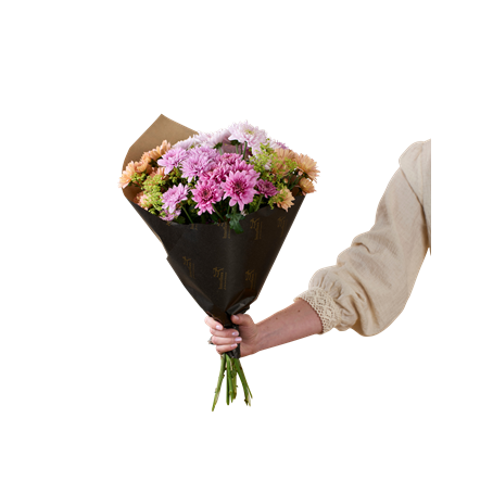 Chrysanthemum 250321