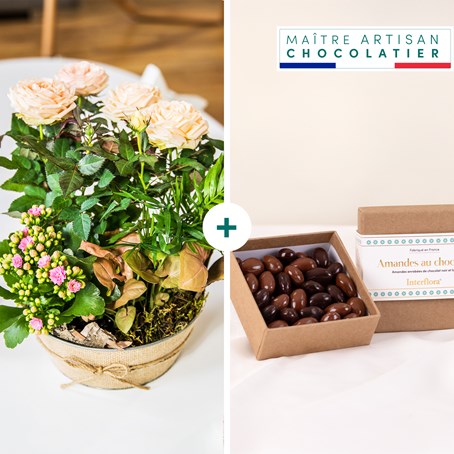 Coin de paradis et chocolats - Paradise and chocolates