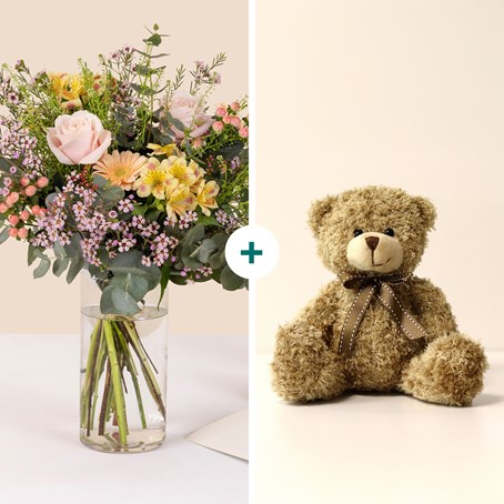 Sorbet and Teddy bear - Sorbet et son ourson