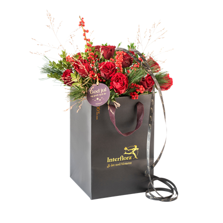 Christmas red Classic 240502