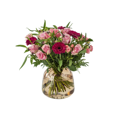 Congratulation 910523