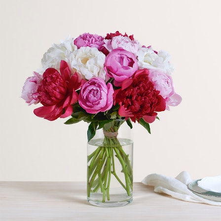 1750959075-1202857-2025