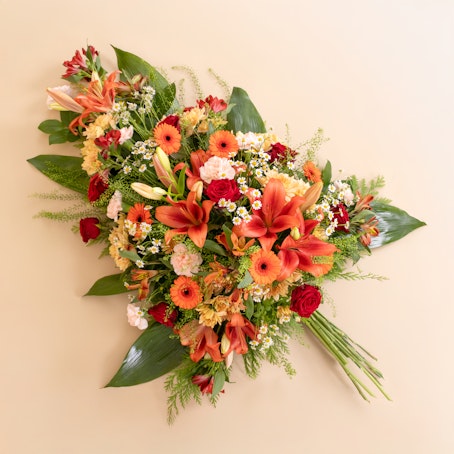 Palma Despedida Cálida