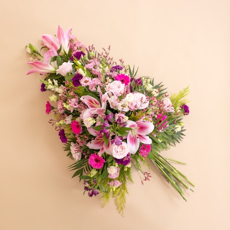 Palma Delicada Rosa