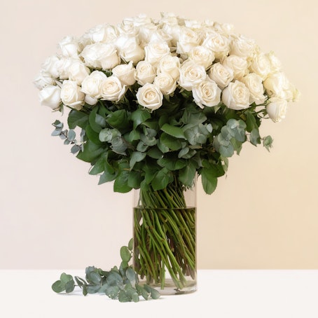 Blanco Sublime