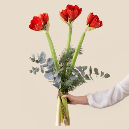 1750959075-1202857-2025