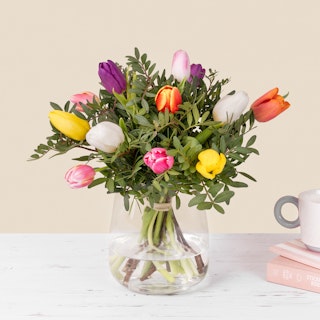 Tulipanes Arcoiris