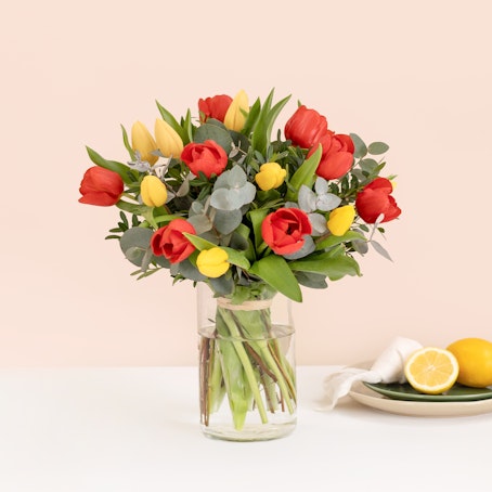 Tulipanes multicolor