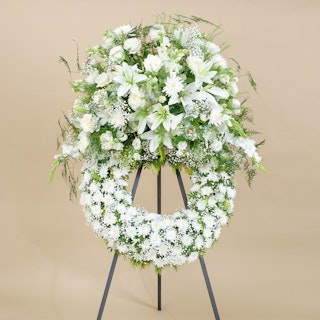 Aureola Premium Blanca