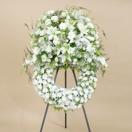 Aureola Premium Blanca