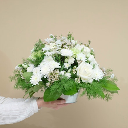 Composición Blanca Serena