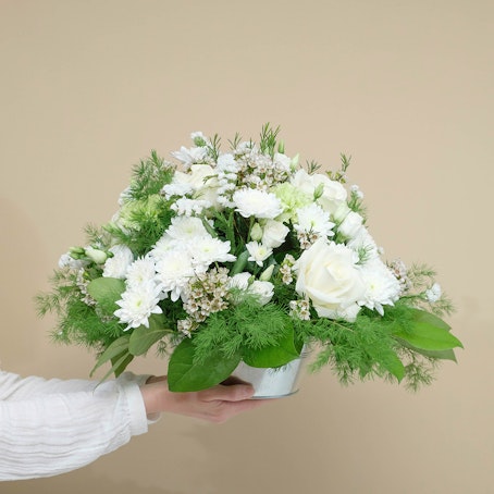 Composición Blanca Serena