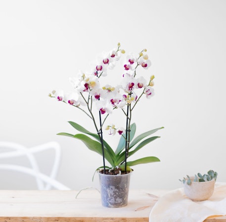 1750959075-1202857-2025