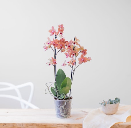 1750959075-1202857-2025