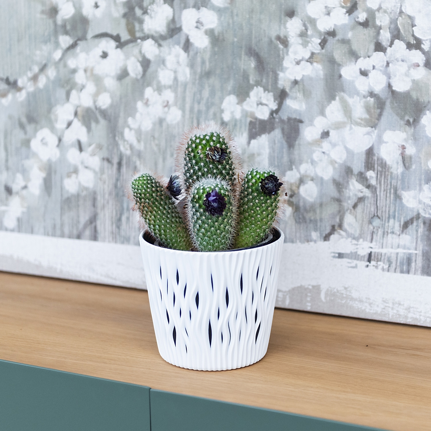Cactus Mix M-13