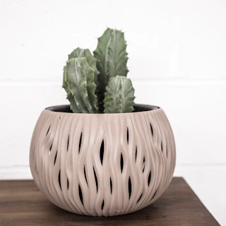 Mix de Cactus grande