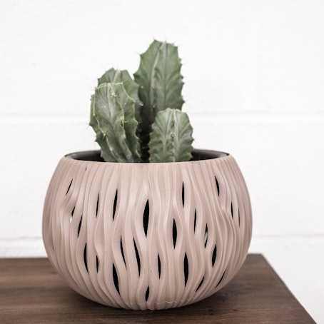 Mix de Cactus grande