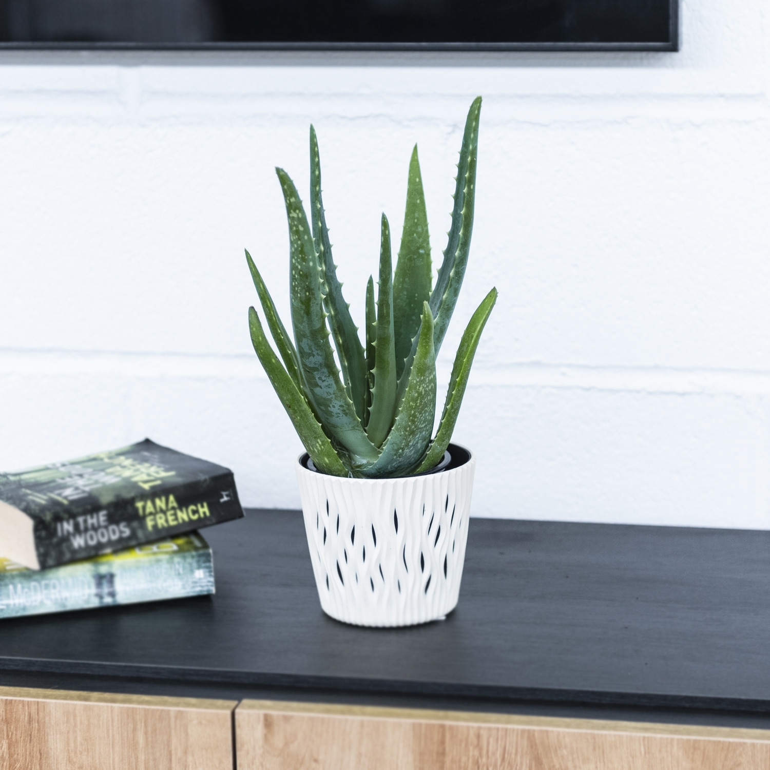 Aloe Vera Bio 12