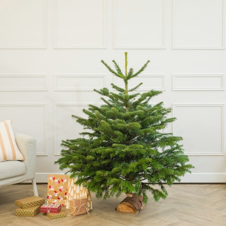 Arbol de Navidad