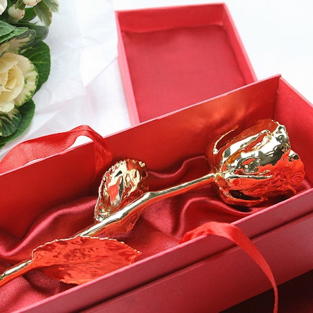 Golden Rose