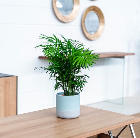 1750959075-1202857-2025