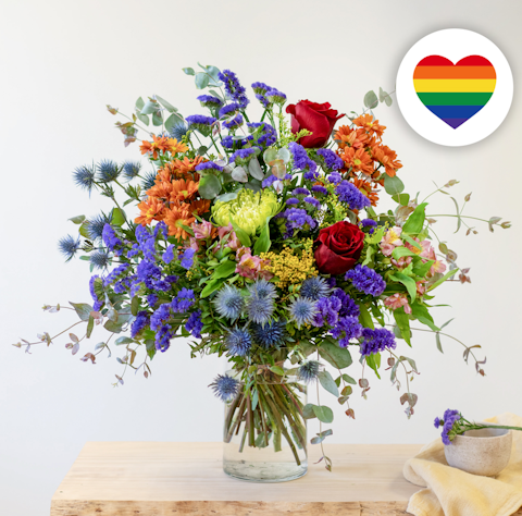 Nuestro producto dedicado Arcoiris