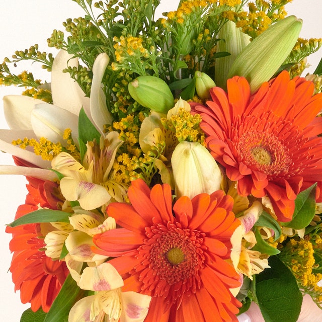Lirios blanco y Gerberas naranjas - Mejor amiga